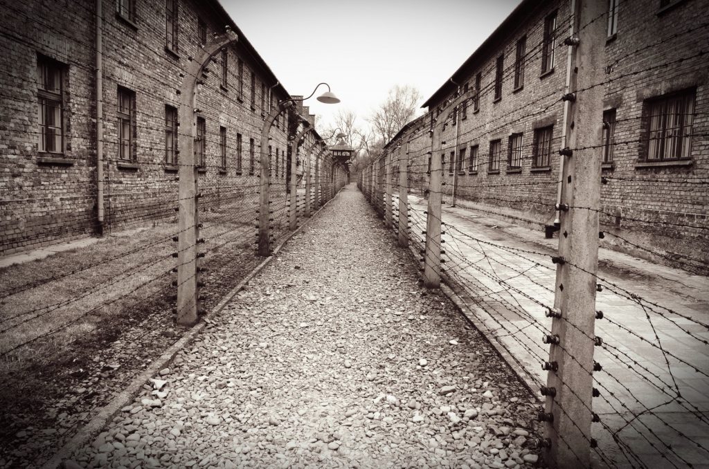 auschwitzbirkenau